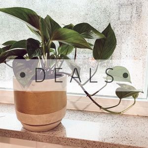 ▪️the best for your buck▪️